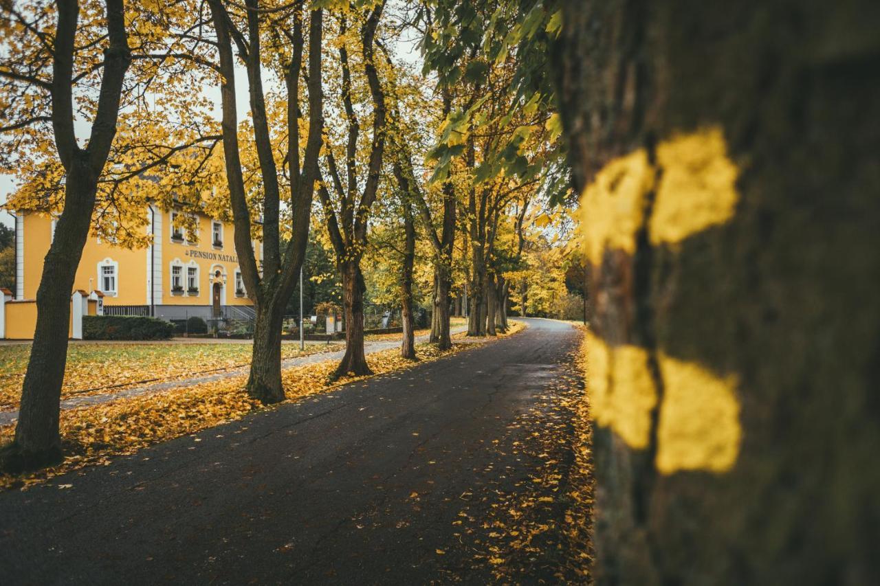 Apartmany Natalie Františkovy Lázně المظهر الخارجي الصورة