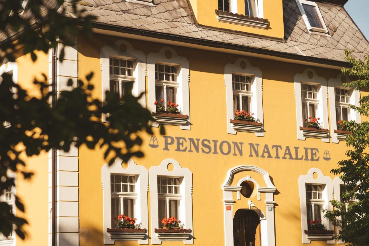 Apartmany Natalie Františkovy Lázně المظهر الخارجي الصورة